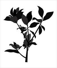 The black shadows from branches and leaves. Flat contour of a tropical bush to overlap the design and create shadows.