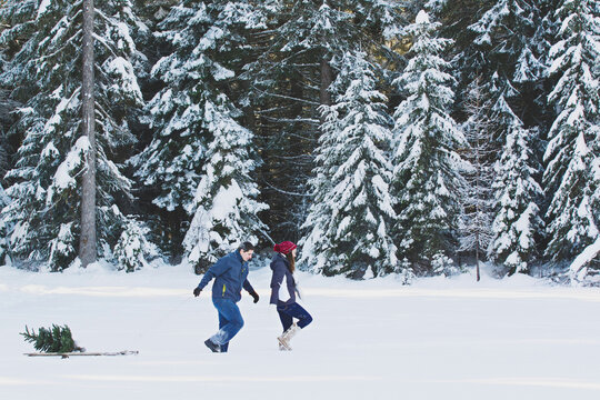 couple pulling sled carrying Christmas tree