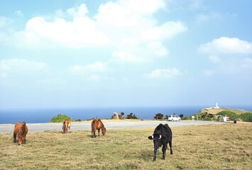 沖縄県･与那国島･東崎