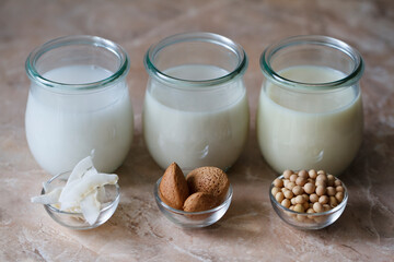 Various types of vegan milk in jars