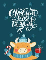 Happy new year 2021, inscription in Russian. Bull in a hat with a gift. Great lettering for greeting cards, stickers, banners, prints. Xmas card. 
