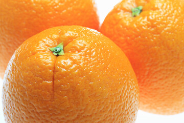 ネーブルオレンジ