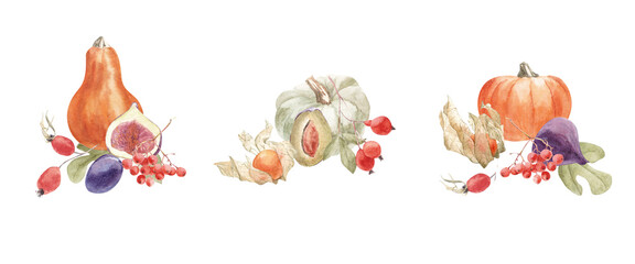 autumn compositions with watercolor pumpkins, autumn fruits and berries. Hand-painted illustrations are great for decorating packaging, greeting cards, invitations, promotional items.