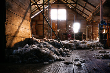 Shearing shed of an Australian wool grower