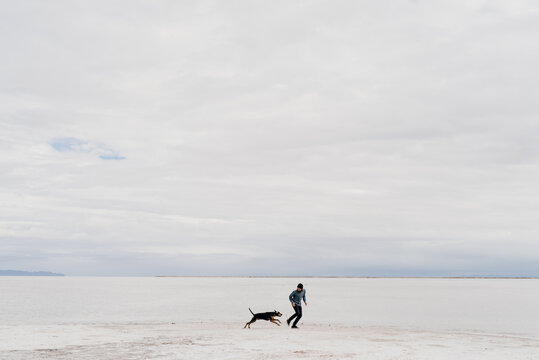 Man and Dog Playing