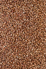 vertical texture of raw buckwheat, brown food background