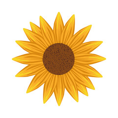 beautiful sun flower garden nature icon