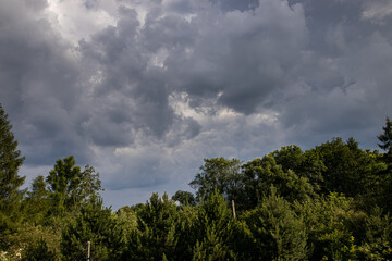  sky with gray clouds against the backdrop of green trees on a warm summer day