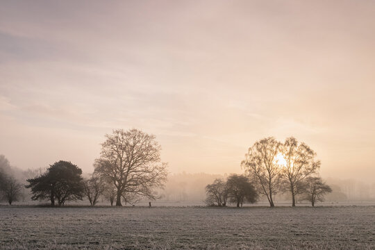 Sunrise through fog on a frosty morning. Santon Downham, Norfolk, UK.