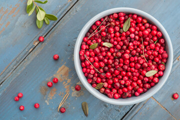 Fresh ripe forest northern lingonberries in a ceramic bowl on a blue rustic plank table. Top View
