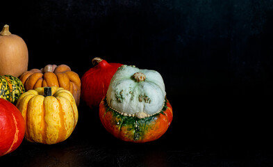 Autumn harvest. Ripe colorful pumpkins