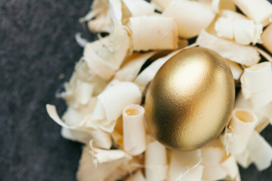 Easter: Golden Egg In Nest Of Wood Shavings