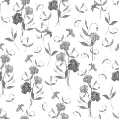 Vector seamless pattern with flowers petunias and leaves on white background. Black and white. Monochrome background for fashion, textile, wallpapers, greetings, web pages.