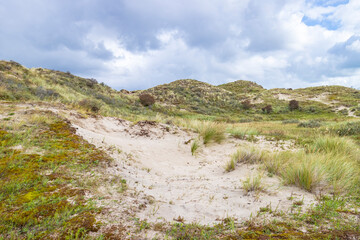 Fototapeta na wymiar Landscape with dunes under a clouded sky, national park Meijendel