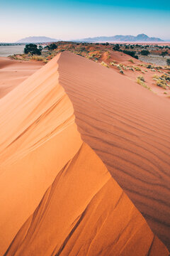 Namibian desert sand dune crest