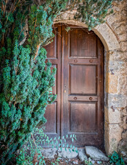 natural wood arched door of a stonewall house and dark green foliage plant