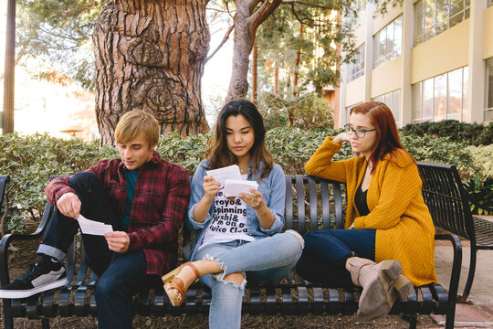 Friends Studying on Campus