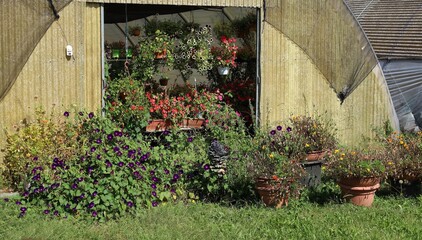 Fototapete bei efototapeten.de bestellen   