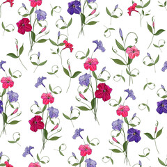 Vector seamless pattern with flowers pink and purple petunias and leaves. Floral background for your design.

