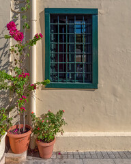 Fototapeta na wymiar green iron railings protected windows with red flowers in pots, Plaka, Athens Greece