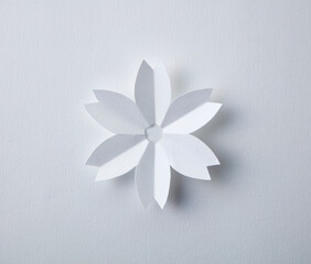 white flowers on a white background make paper