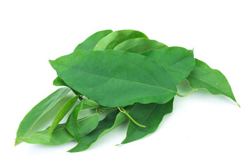 The Yanang leaves on white background