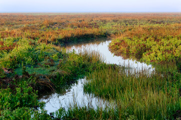 Sunrise and foggy morning on the Maye river. Bay of Somme