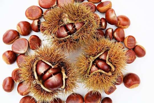 Bam! Bilder Durchsuchen 4,680 Archivfotos, und Videos