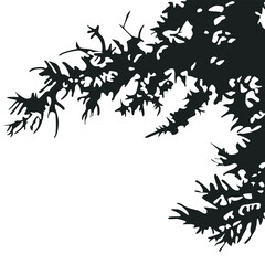 Black silhouette shadows from trees and branches. Shadow for overlay. Branches and leaves, flat outline of on a white background.
