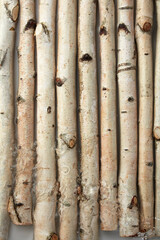 Naklejka premium texture of the wood
