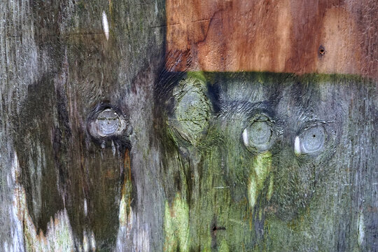 Weathered old wooden panel