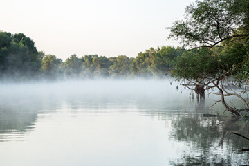 morning evaporation of water over the river, fog over the water