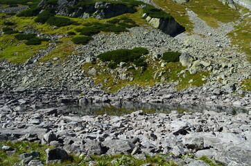 Okresowe jeziorka, Staw Staszica w Dolinie za Mnichem, Tatry © Ewa