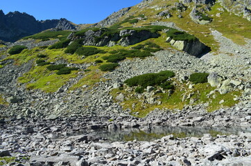 Okresowe jeziorka, Staw Staszica w Dolinie za Mnichem, Tatry © Ewa