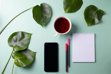 green leaves, a cup of herbal black tea as working or studying concept. minimalism. 