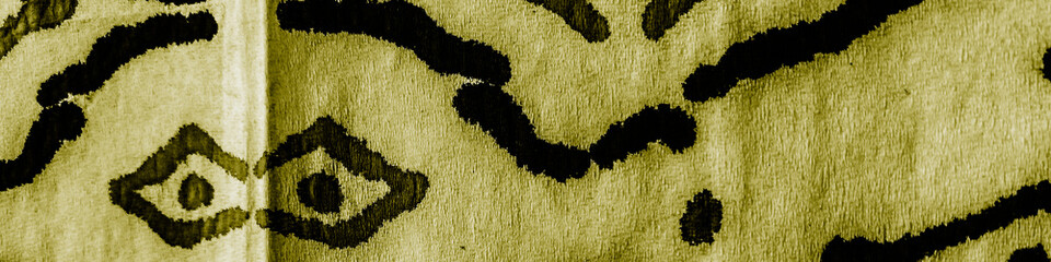 Geometrical Ikat Border Luxury Geometric Print.