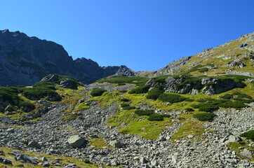 Tatry,  widok na Szpiglasową Przełęcz z Doliny za Mnichem, latem