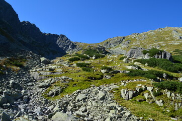 Tatry,  widok na Szpiglasową Przełęcz z Doliny za Mnichem, latem