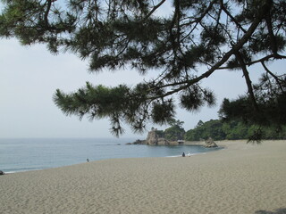 桂浜