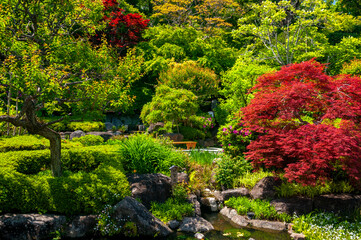Obraz premium japanese garden in spring