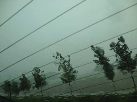 Trees bending in the wind during a storm