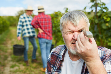 Winegrower with handheld refractometer