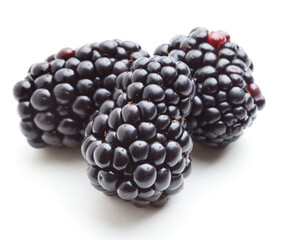 blackberry on white background