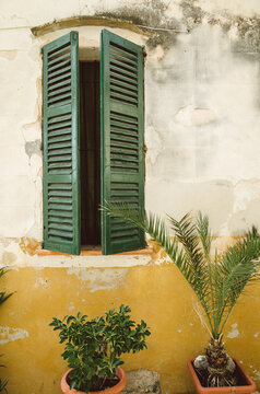 Green window