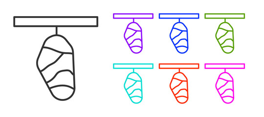 Black line Butterfly cocoon icon isolated on white background. Pupa of the butterfly. Set icons colorful. Vector.