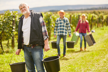 Weinbauer and his team of harvest workers
