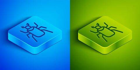 Isometric line Beetle bug icon isolated on blue and green background. Square button. Vector.