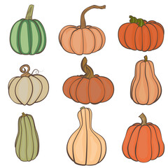 wallpaper of different kinds of pumpkins on a white background for autumn