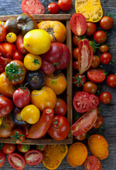 Tomatoes of different varieties and colors top view. Layout on a wooden background. Food. Sliced tomato, ingredients for salad. Place for text. Yellow and red cherry. Copy space.