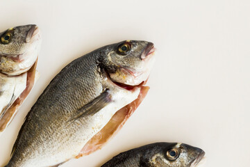 Three,uncooked and cleared sea bream fish on white surface with copy space,top view